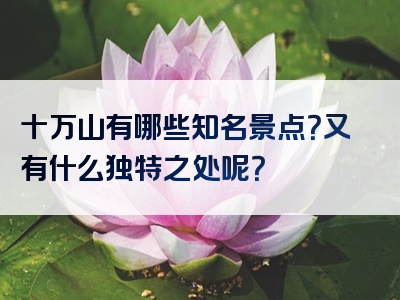 十万山有哪些知名景点？又有什么独特之处呢？