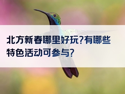 北方新春哪里好玩？有哪些特色活动可参与？
