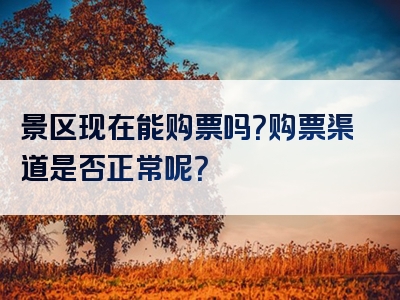 景区现在能购票吗？购票渠道是否正常呢？
