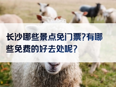 长沙哪些景点免门票？有哪些免费的好去处呢？