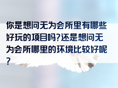 你是想问无为会所里有哪些好玩的项目吗？还是想问无为会所哪里的环境比较好呢？