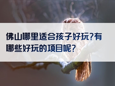 佛山哪里适合孩子好玩？有哪些好玩的项目呢？