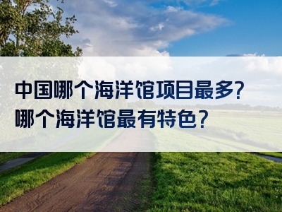 中国哪个海洋馆项目最多？哪个海洋馆最有特色？