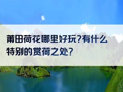 莆田荷花哪里好玩？有什么特别的赏荷之处？