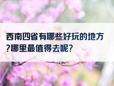 西南四省有哪些好玩的地方？哪里最值得去呢？