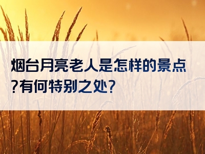 烟台月亮老人是怎样的景点？有何特别之处？