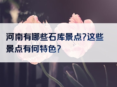 河南有哪些石库景点？这些景点有何特色？