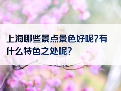 上海哪些景点景色好呢？有什么特色之处呢？