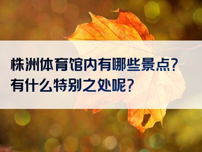 株洲体育馆内有哪些景点？有什么特别之处呢？