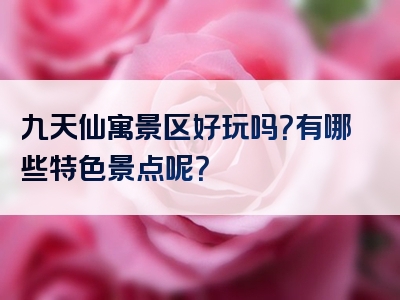 九天仙寓景区好玩吗？有哪些特色景点呢？