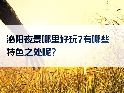 泌阳夜景哪里好玩？有哪些特色之处呢？