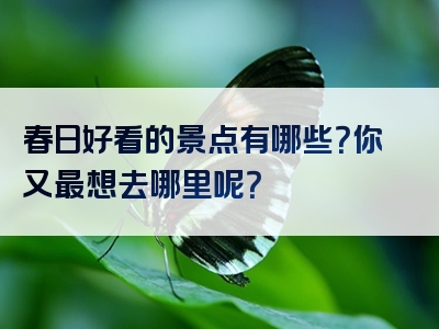 春日好看的景点有哪些？你又最想去哪里呢？