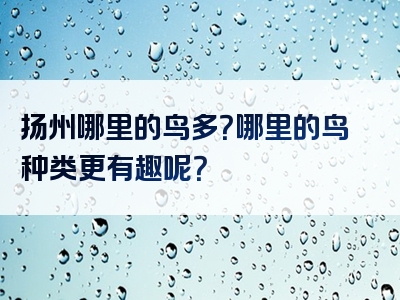 扬州哪里的鸟多？哪里的鸟种类更有趣呢？