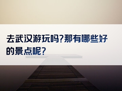 去武汉游玩吗？那有哪些好的景点呢？