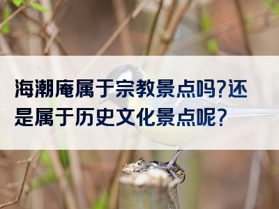 海潮庵属于宗教景点吗？还是属于历史文化景点呢？