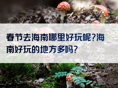 春节去海南哪里好玩呢？海南好玩的地方多吗？