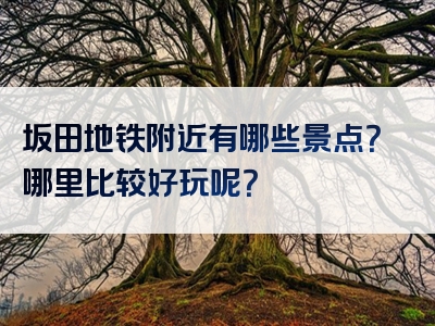 坂田地铁附近有哪些景点？哪里比较好玩呢？