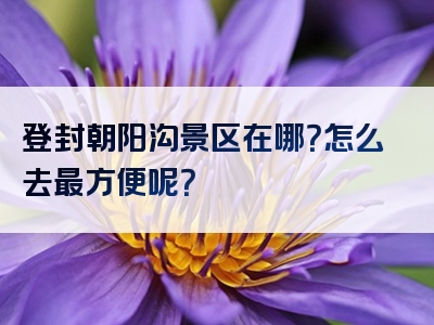 登封朝阳沟景区在哪？怎么去最方便呢？