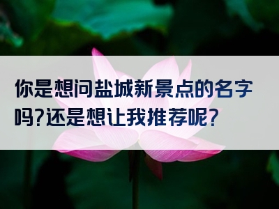 你是想问盐城新景点的名字吗？还是想让我推荐呢？