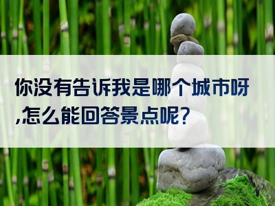 你没有告诉我是哪个城市呀，怎么能回答景点呢？