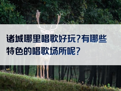 诸城哪里唱歌好玩？有哪些特色的唱歌场所呢？