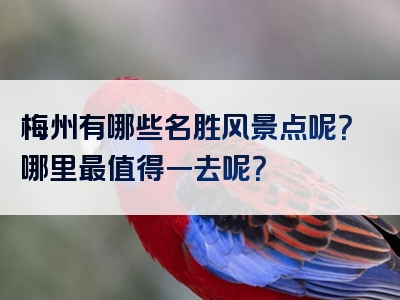 梅州有哪些名胜风景点呢？哪里最值得一去呢？