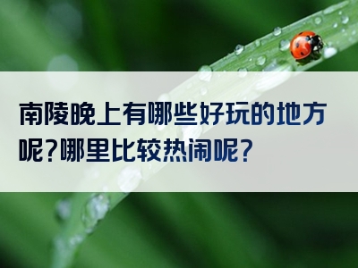 南陵晚上有哪些好玩的地方呢？哪里比较热闹呢？