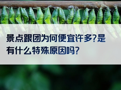 景点跟团为何便宜许多？是有什么特殊原因吗？