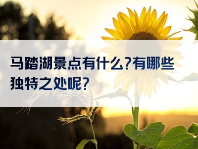 马踏湖景点有什么？有哪些独特之处呢？