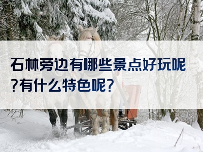 石林旁边有哪些景点好玩呢？有什么特色呢？