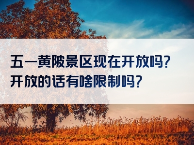 五一黄陂景区现在开放吗？开放的话有啥限制吗？