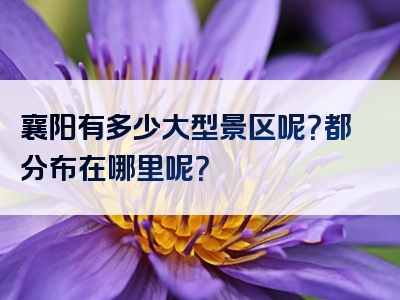 襄阳有多少大型景区呢？都分布在哪里呢？