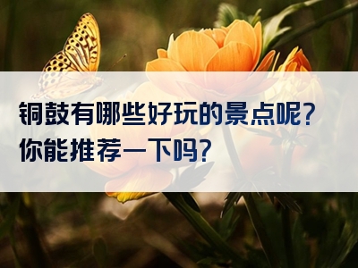 铜鼓有哪些好玩的景点呢？你能推荐一下吗？