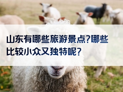 山东有哪些旅游景点？哪些比较小众又独特呢？