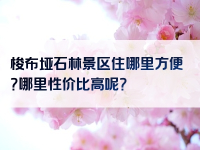 梭布垭石林景区住哪里方便？哪里性价比高呢？