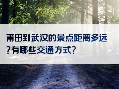 莆田到武汉的景点距离多远？有哪些交通方式？