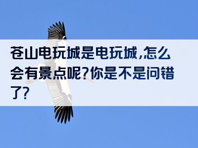 苍山电玩城是电玩城，怎么会有景点呢？你是不是问错了？