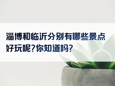 淄博和临沂分别有哪些景点好玩呢？你知道吗？