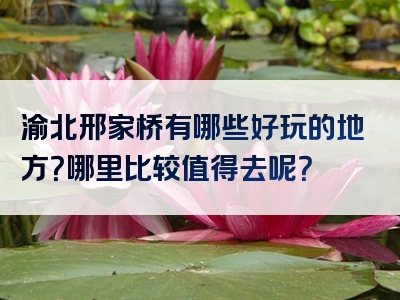 渝北邢家桥有哪些好玩的地方？哪里比较值得去呢？