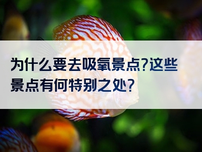 为什么要去吸氧景点？这些景点有何特别之处？