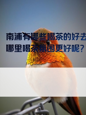 南浦有哪些喝茶的好去处？哪里喝茶氛围更好呢？