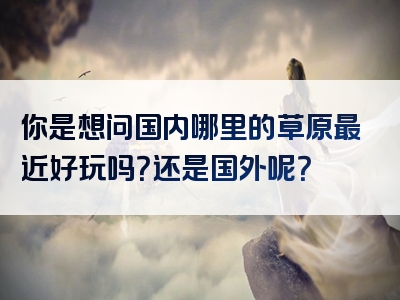 你是想问国内哪里的草原最近好玩吗？还是国外呢？