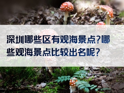 深圳哪些区有观海景点？哪些观海景点比较出名呢？