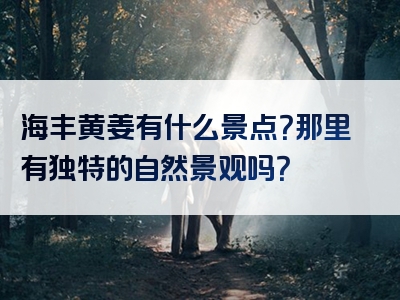 海丰黄姜有什么景点？那里有独特的自然景观吗？