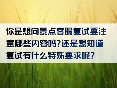 你是想问景点客服复试要注意哪些内容吗？还是想知道复试有什么特殊要求呢？