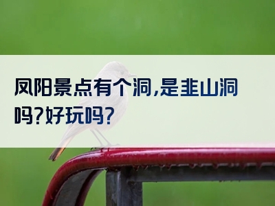 凤阳景点有个洞，是韭山洞吗？好玩吗？