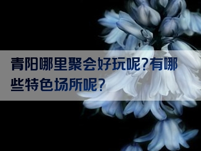 青阳哪里聚会好玩呢？有哪些特色场所呢？