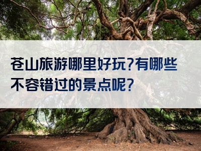 苍山旅游哪里好玩？有哪些不容错过的景点呢？