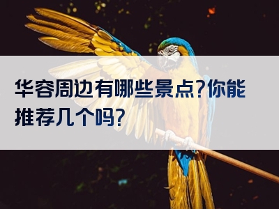 华容周边有哪些景点？你能推荐几个吗？