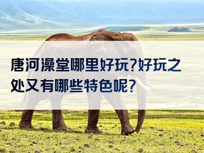 唐河澡堂哪里好玩？好玩之处又有哪些特色呢？